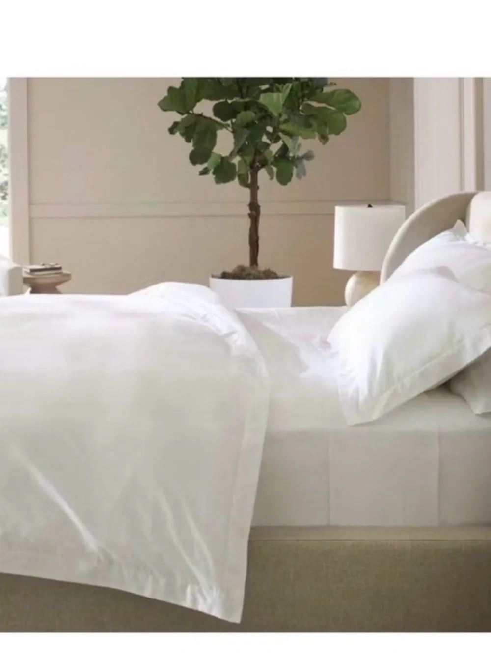 saatva soft white